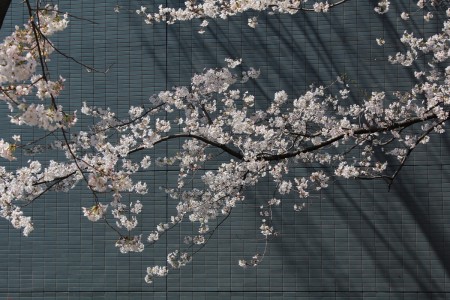 What makes Japan all that it is?