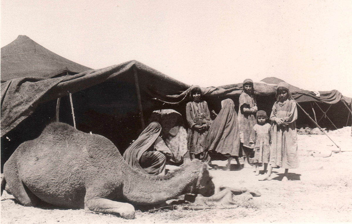afghanistan nomad camp