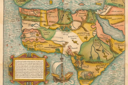 A Leopard Lives in a Muu Tree 