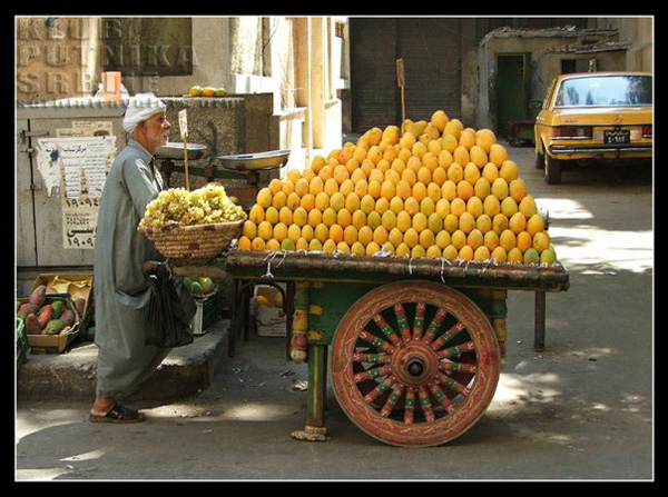 cairo, grapefruit vendor