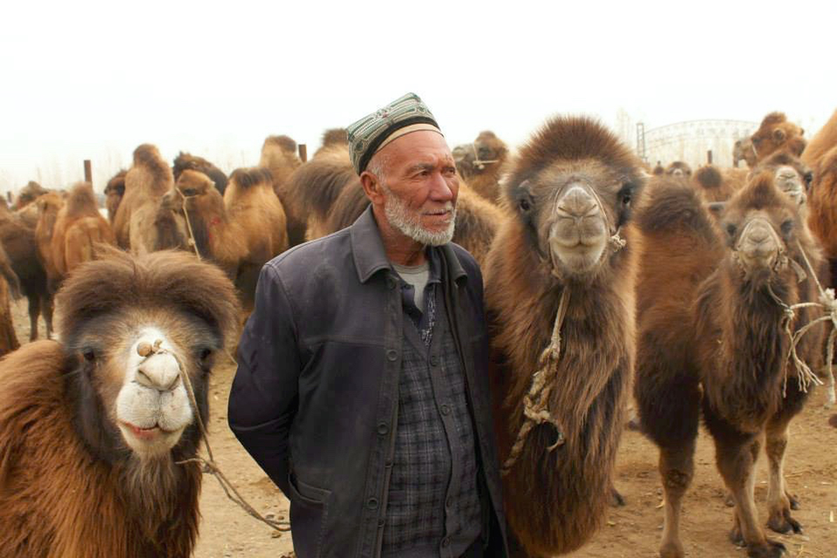 female hitchhiker 09