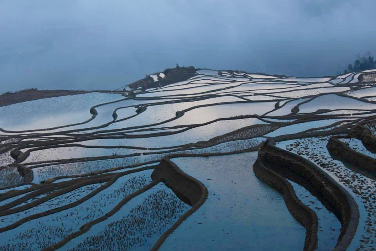 female hitchhiker 14