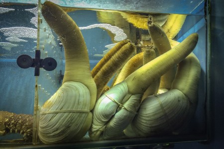 Dinner time in Hong Kong