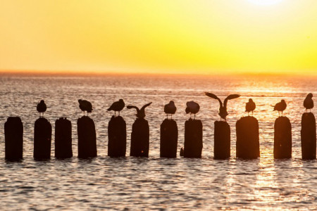 School rules and application form