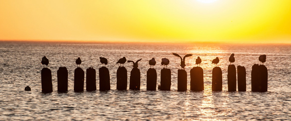 School rules and application form