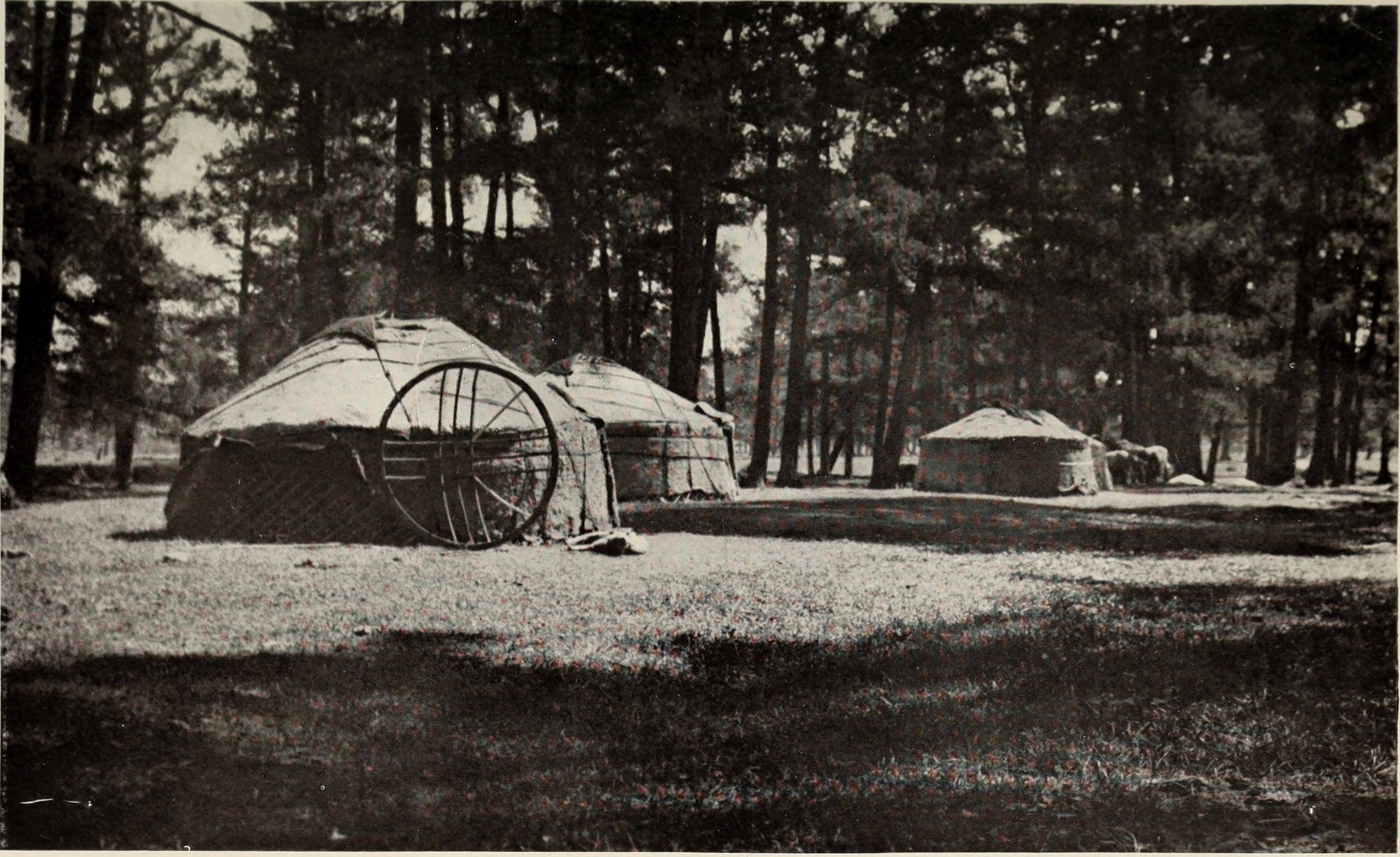 Western Mongolia: A Poem