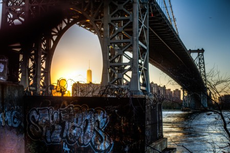 The Happiest Man in New York