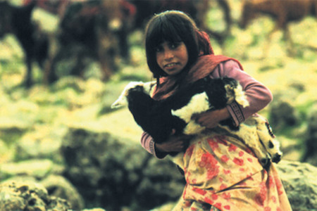 Restoring the Freedom