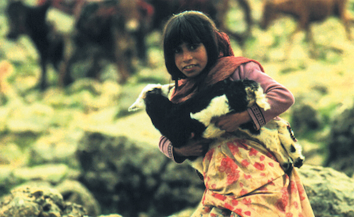 people of the wind 02