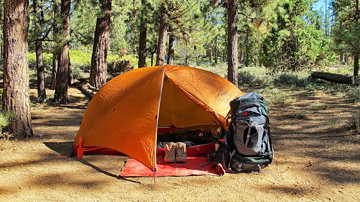 tent in forest