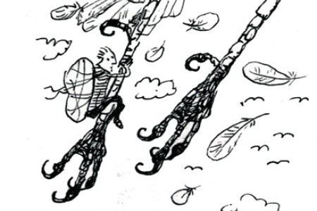 Change of Name, Visual Identity and Concept