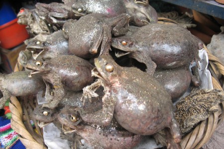 Bolivia's Witch Market