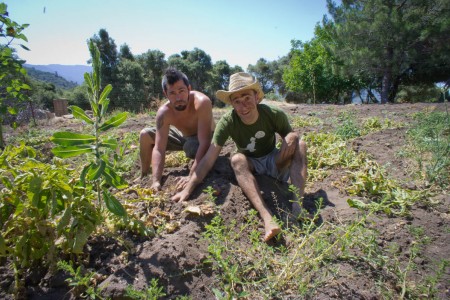 A short guide to volunteering on organic farms around the world