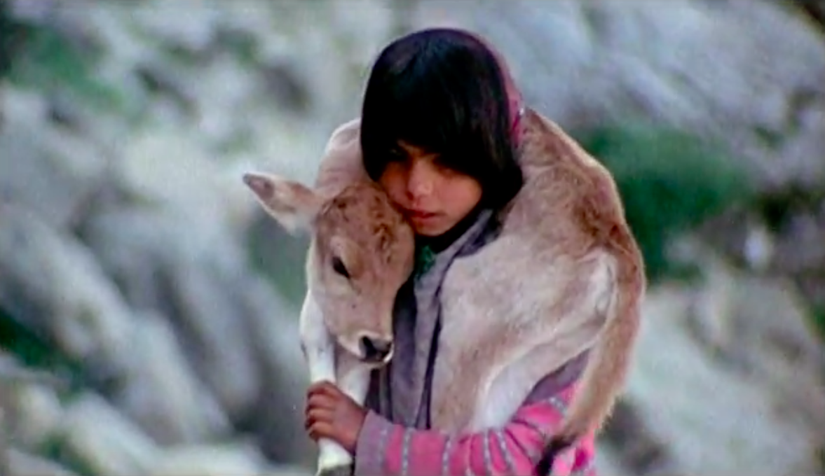 people of the wind 05